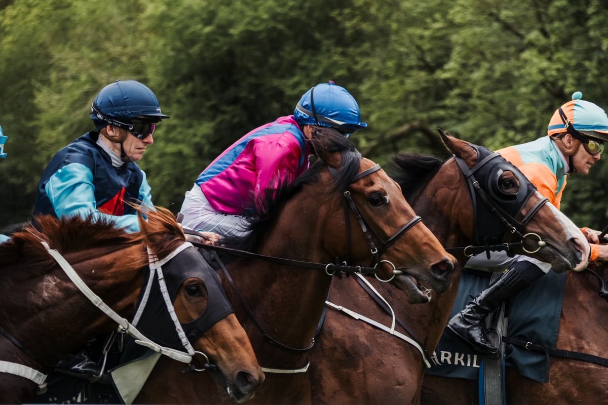 Autumn Racing