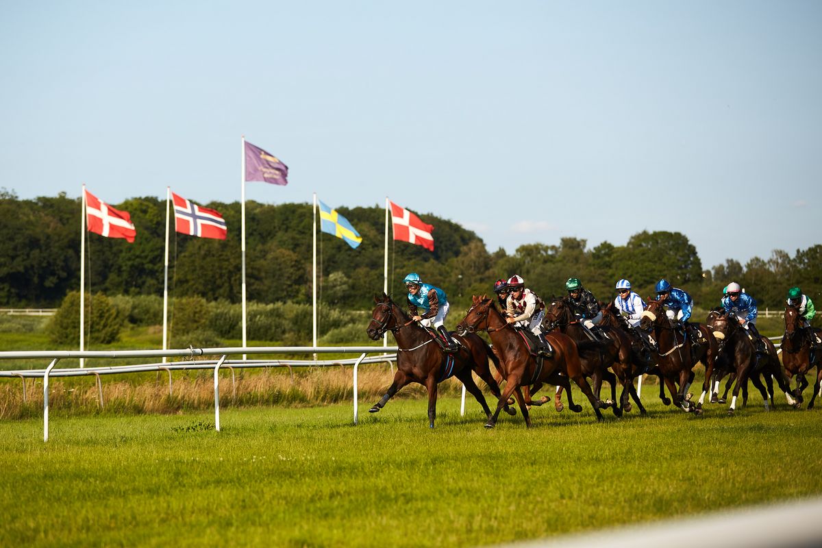 Summer Night Racing
