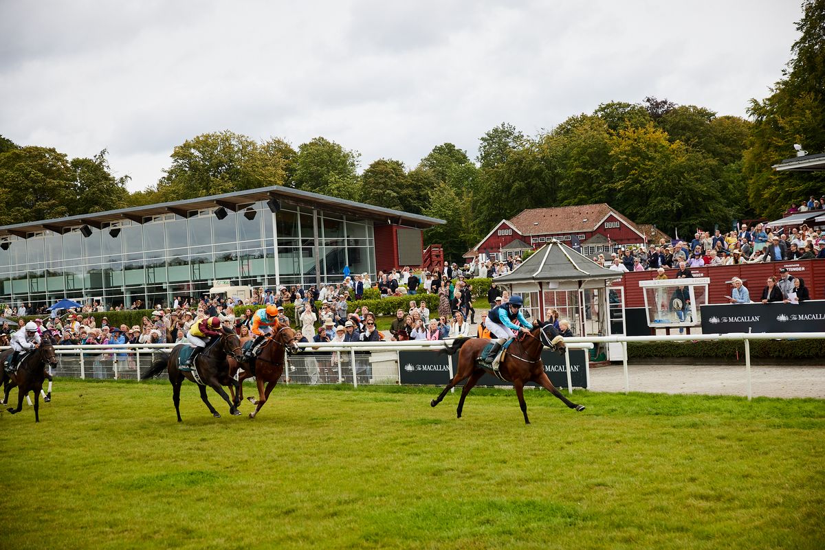 Autumn Racing