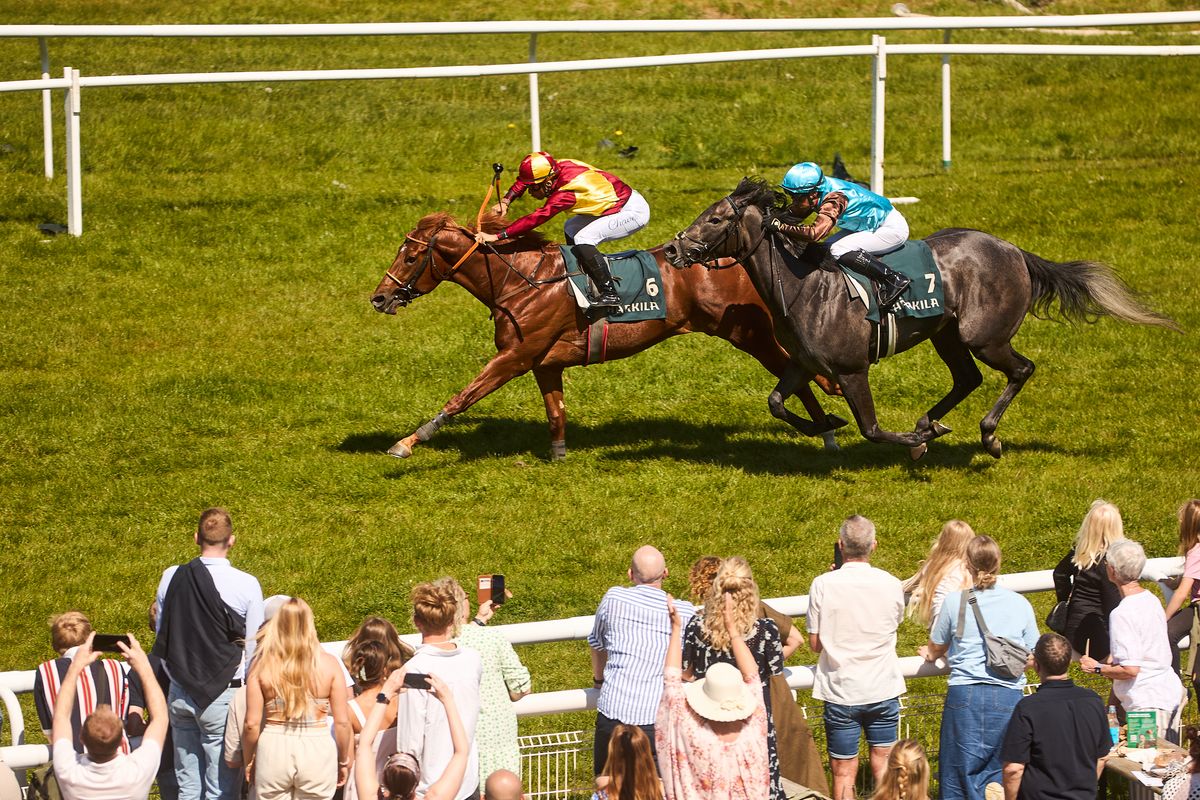 Forårsklassiker, Mowerinaløb